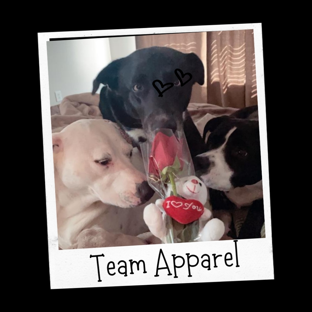 Team Apparel